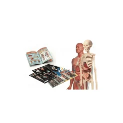 Clementoni Laboratorio de Anatomía