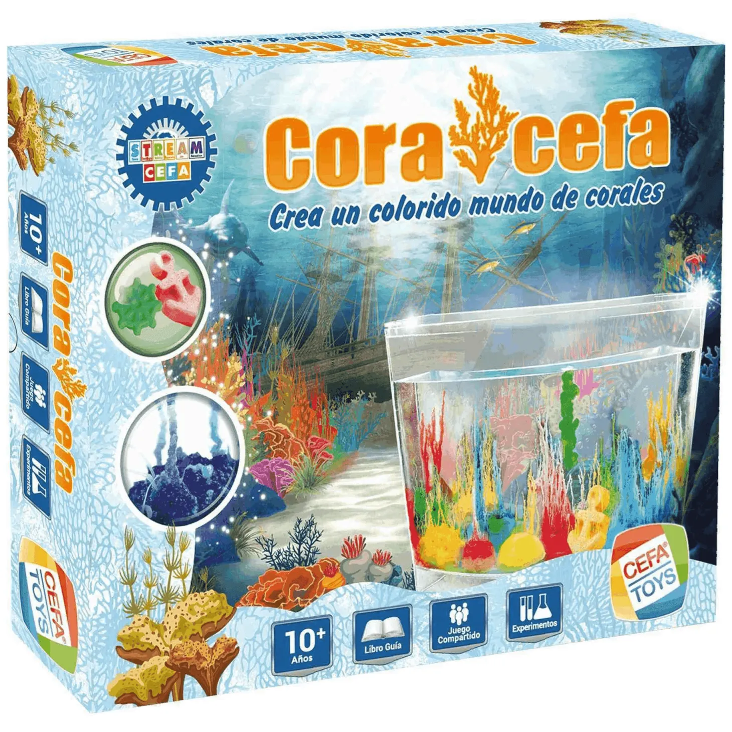 Coralcefa