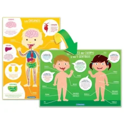 Juego Aprendo el Cuerpo Humano