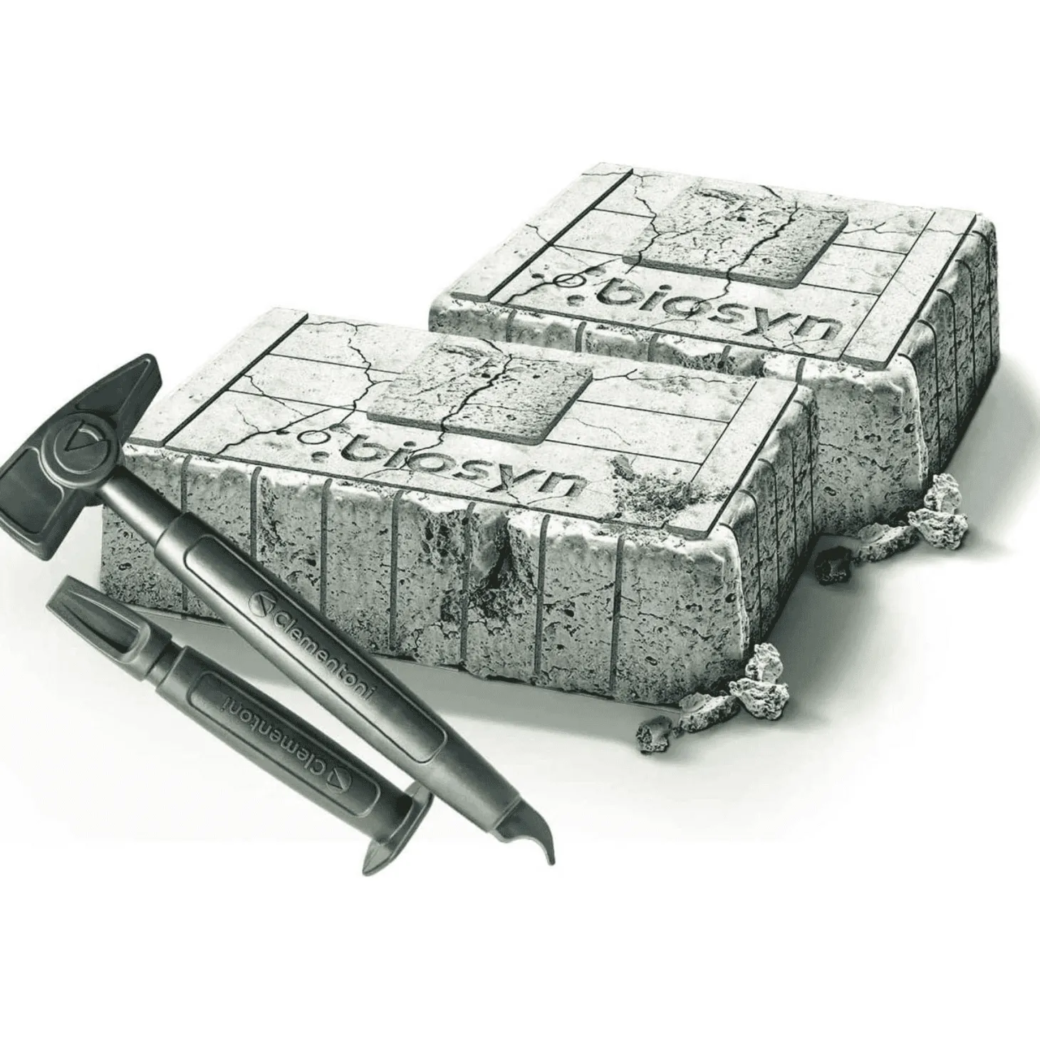 Kit de excavación: T-Rex y Pteranodon