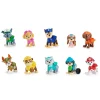 Paw Giftpack De Figuras 10Mo Aniversario