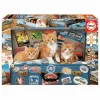 Puzzle Gatitos Viajeros 200 Piezas