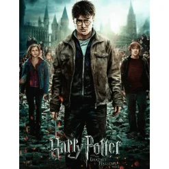 Puzzle Harry Potter 300 XXL 300 Piezas