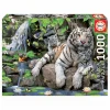 Puzzle Tigres Blancos De Bengala 1000 Piezas