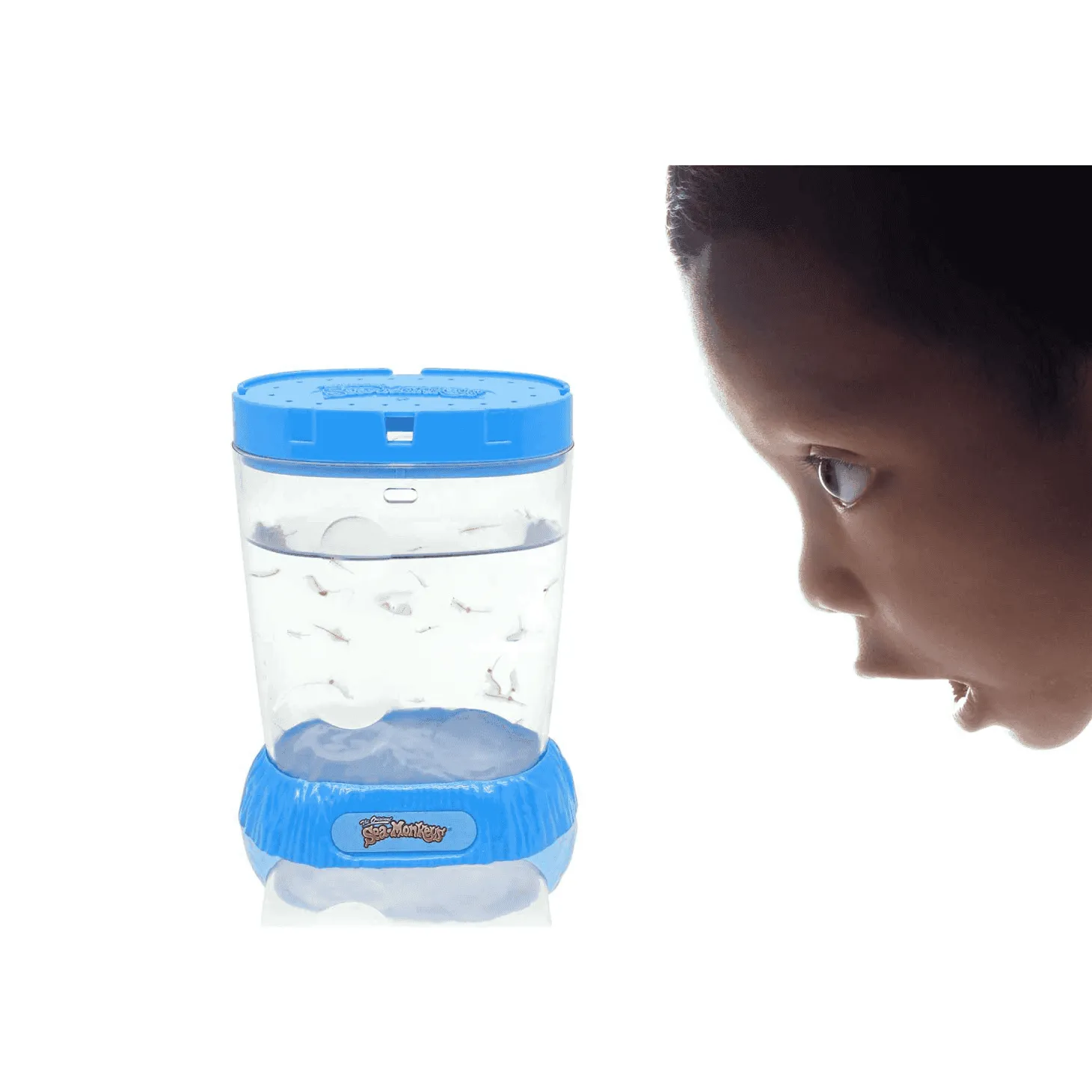 Sea Monkeys Ocean Zoo