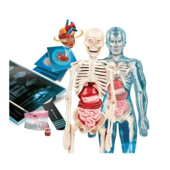 Superanatomía Ciencia Y Juego