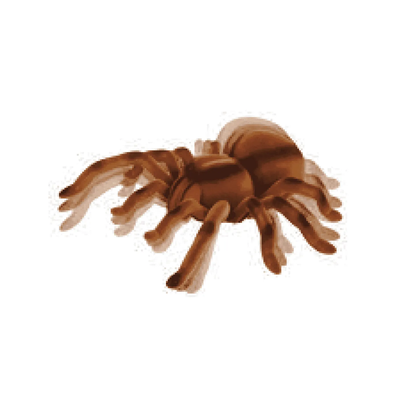 Tarántula Radio Control
